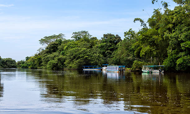 Frio River in Costa Rica stock photo