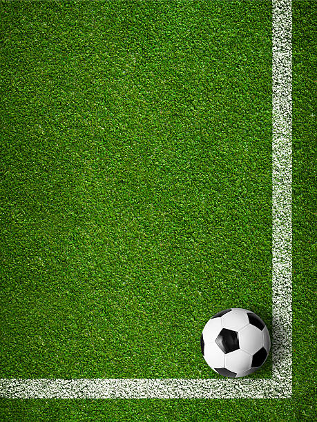 istock Soccer ball framed by white marking lines top view 177703969