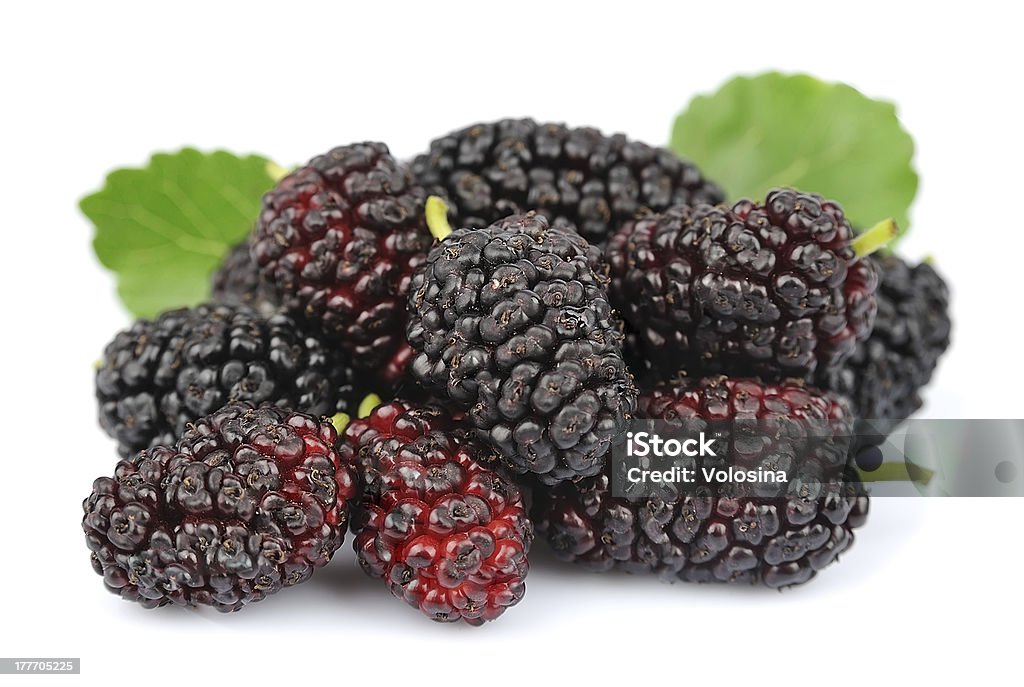 Mulberry with leafs Group of mulberry with leafs on a white background close up Berry Stock Photo