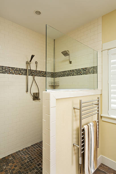 istock Walk in shower of an upscale home 177705766