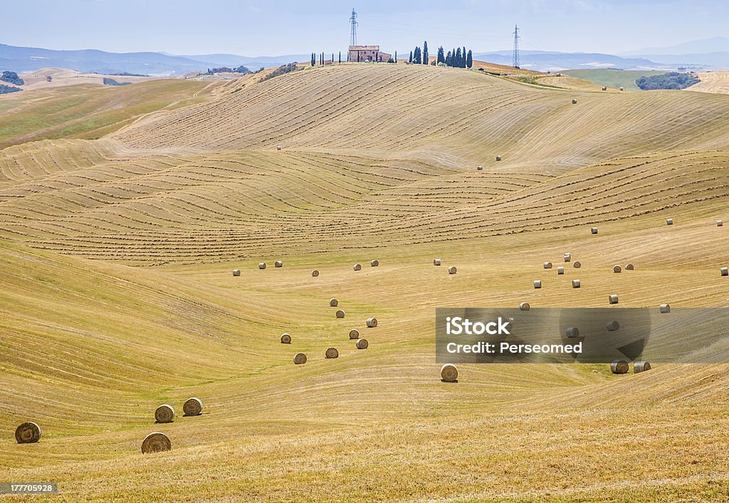 Campo de Toscana - Foto de stock de Agricultura royalty-free