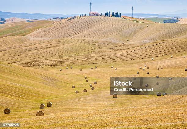 Foto de Campo De Toscana e mais fotos de stock de Agricultura - Agricultura, Amarelo, Azul