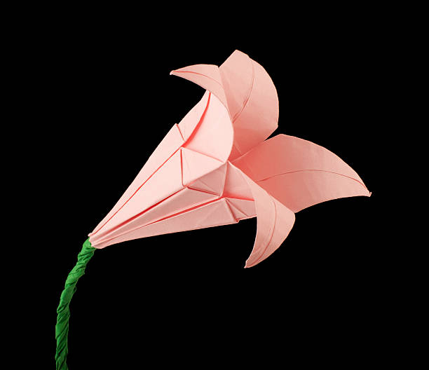istock Pink Flower origami black isolated 177707754