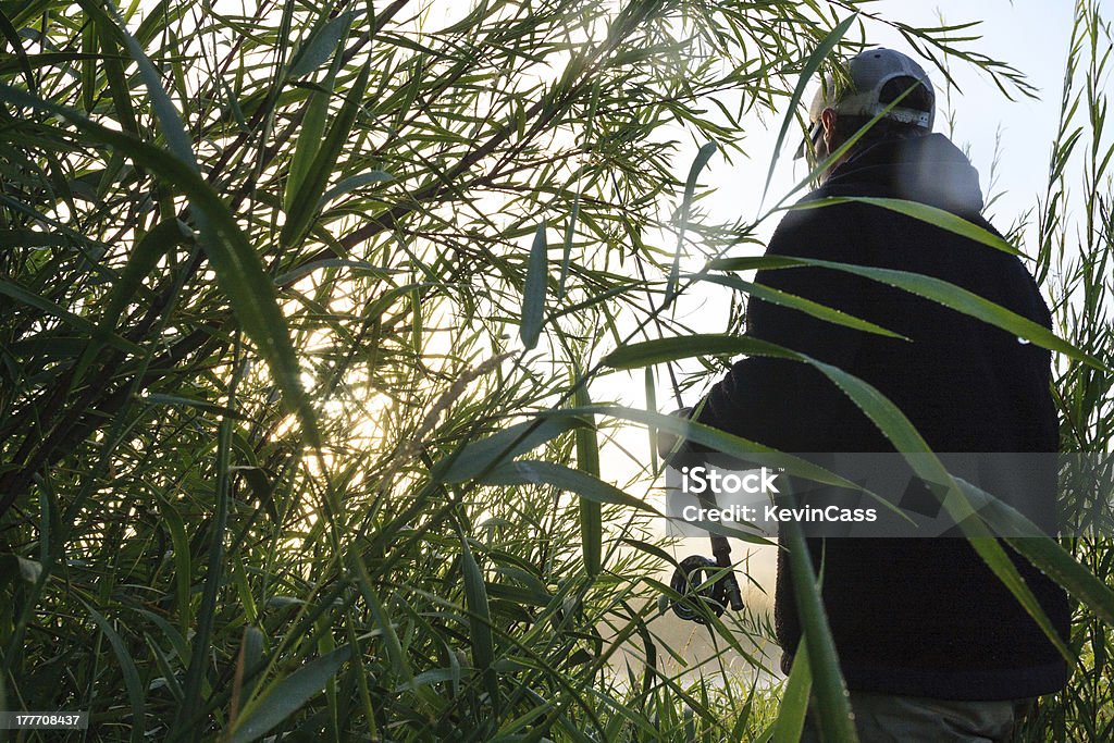 Rive herbeuse - Photo de Aube libre de droits