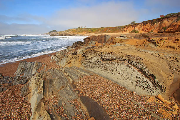 Bean Hollow State Beach in California Pebble Beach and tafoni formations in Pigeon Point formation sandstone at Bean Hollow State Beach in San Mateo County, California against a blue sky and white clouds bean hollow beach stock pictures, royalty-free photos & images