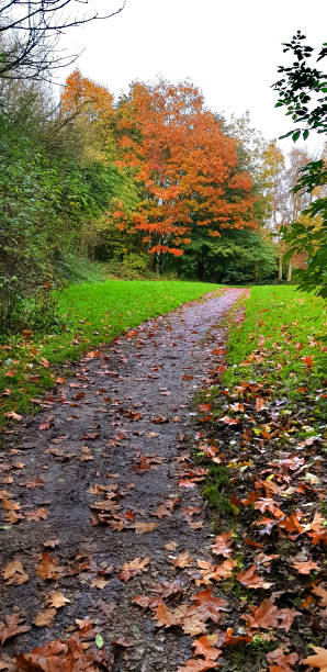 istock Autumn colours in Lancashire England 1777088813
