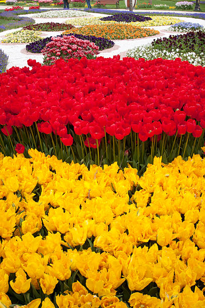 istock Flower garden detail 177709260
