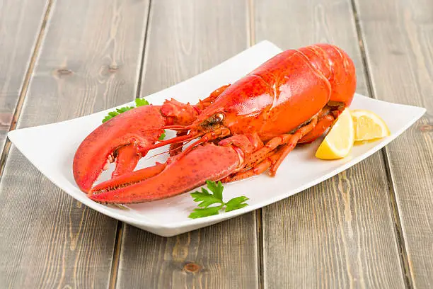 Photo of Cooked Lobster