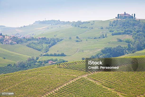 Photo libre de droit de Tuscany Vignoble banque d'images et plus d'images libres de droit de Agriculture - Agriculture, Arbre, Colline