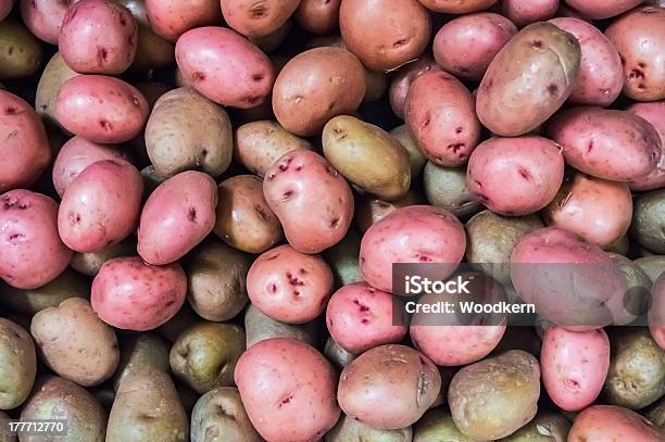 Augen Auf Rote Kartoffeln Stockfoto und mehr Bilder von Agrarbetrieb - Agrarbetrieb, Auge, Fotografie
