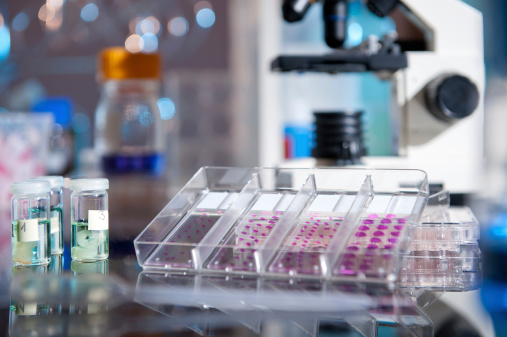 Plastic tray of histological tissue samples next to a microscope