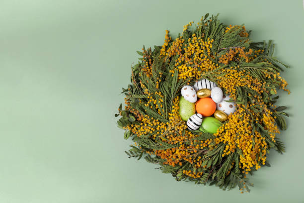 uova di pasqua decorate a festa nel nido di bellissimi fiori primaverili su sfondo verde pallido, vista dall'alto. spazio per il testo - easter nest foto e immagini stock