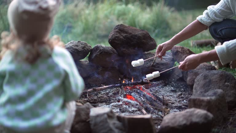 Family camping at lake, roasting marshmallows on campfire.