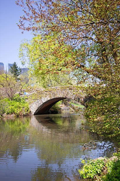 istock Central Park New York City 177713752