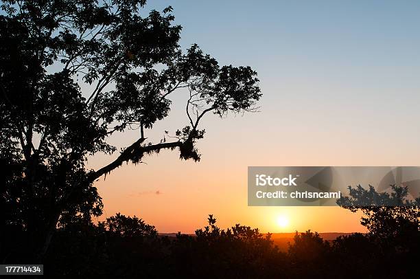 Las Pirámides Mayas Tikal Foto de stock y más banco de imágenes de Aire libre - Aire libre, Antiguo, Arqueología