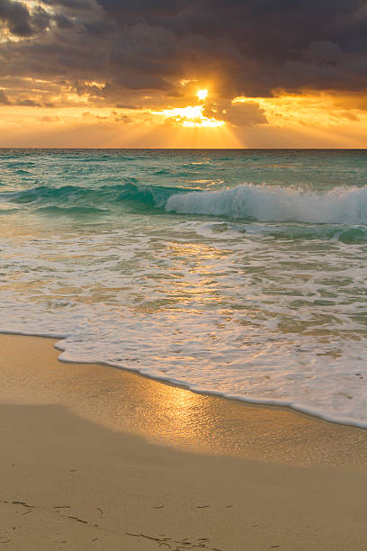 istock Beach of the Caribbean Sea 177715960