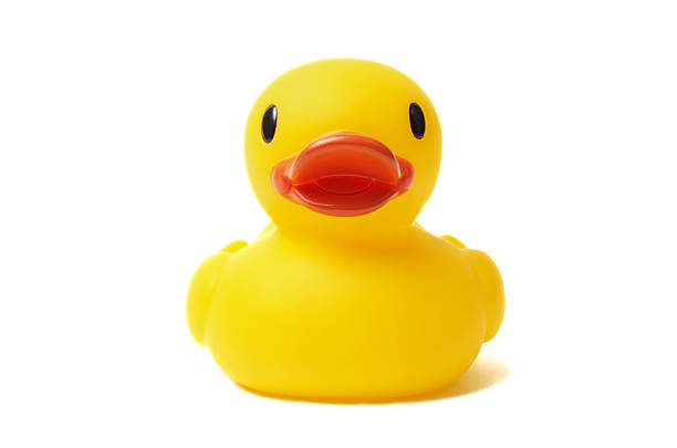 canard en plastique - duck toy photos et images de collection