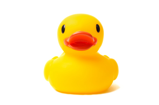 Yellow rubber duck isolated on white background