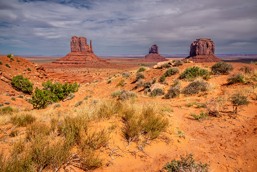 Monument Valley, on the Arizona - Utah border, gives us some of the most iconic and enduring images of the American Southwest.  The harsh empty desert is punctuated by many colorful sandstone rock formations.  It can be a photographer's dream to capture the ever-changing play of light on the buttes and mesas.  Even to the first-time visitor, Monument Valley will probably seem very familiar.  This rugged landscape has achieved fame in the movies, advertising and brochures.  It has been filmed and photographed countless times over the years.  If a movie producer was looking for a landscape that epitomizes the Old West, a better location could not be found.  This picture of the rock formations in the evening light was photographed from the Lee Cly Trail near the Monument Valley Visitor Center north of Kayenta, Arizona, USA.