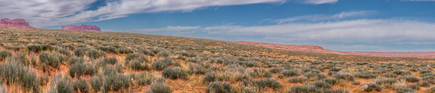istock Southern Utah Grassland 1777166612