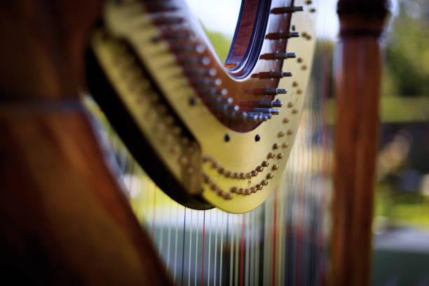 Traditional harp. Beautiful minority instrument in music.