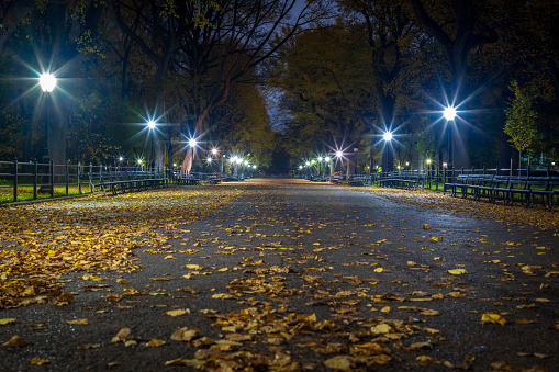 Central Park's empy Mall before sunrise