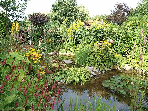 istock Water in the garden 177718419