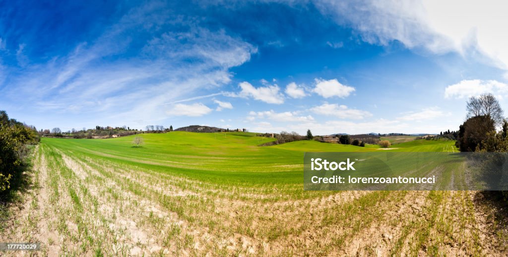 Panoramica delle colline toscane - Foto stock royalty-free di Agricoltura