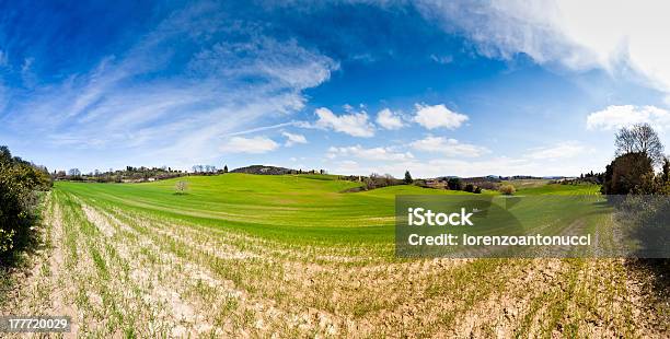 Panoramica Delle Colline Toscane - Fotografie stock e altre immagini di Agricoltura - Agricoltura, Albero, Ambientazione esterna