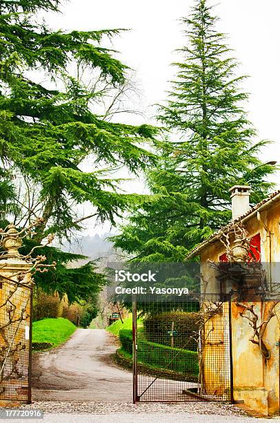 Foto de Entrada Para O Parque Com Grande Firtree e mais fotos de stock de Arbusto - Arbusto, Baús, Caule