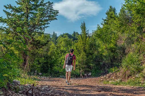 A young man walks in the mountains near Budva, Montenegro - view from the back. Solo hiking in nature. Male tourist in summer clothes and with a backpack on a dirt road in the forest