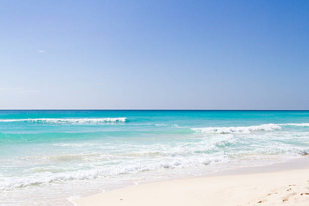istock Beach of the Caribbean Sea 177721181