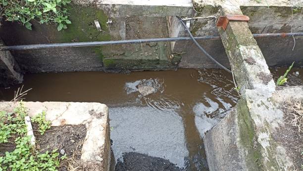 istock Photo of irrigated water flow, without trash stuck in it 1777212876