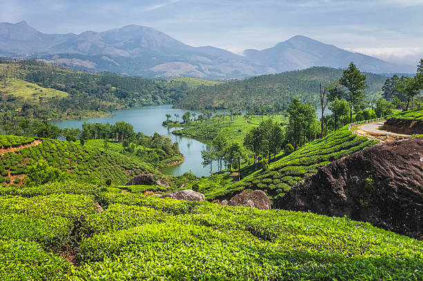istock Lake in tea plantation, Munnar, Kerala, India. 177721375
