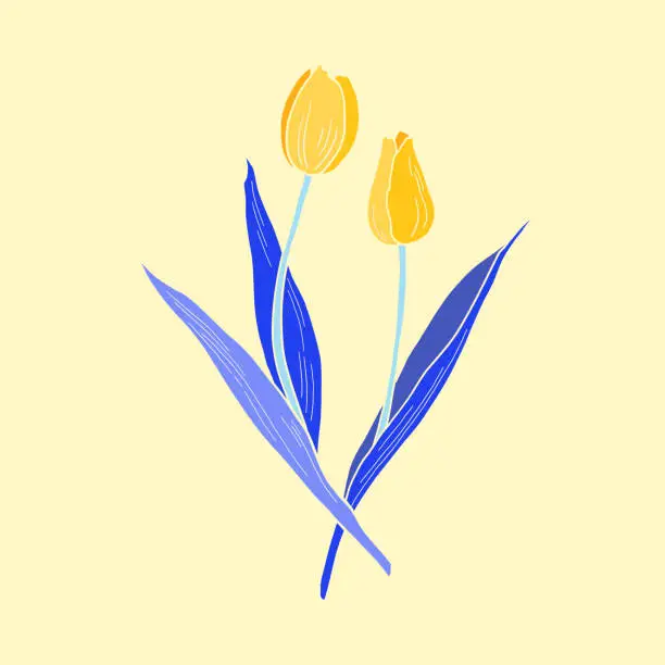 Vector illustration of Tulip bouquet Botanical painting. Hand-drawn vector illustration. Lemon color background.