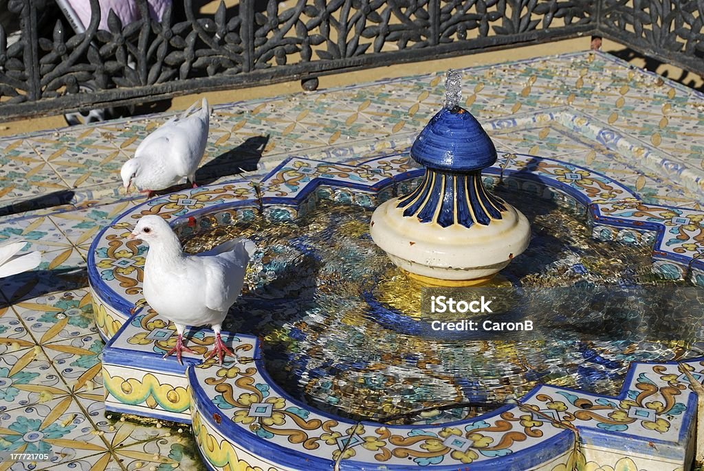 doves blanc dans la fontaine d'eau potable, Séville. - Photo de Andalousie libre de droits