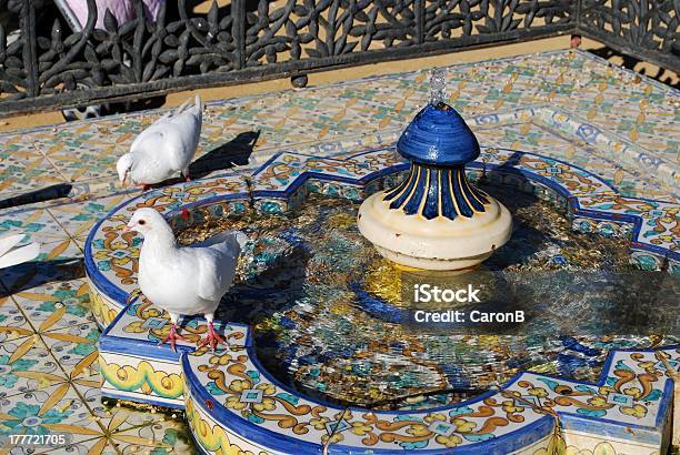 Photo libre de droit de Doves Blanc Dans La Fontaine Deau Potable Séville banque d'images et plus d'images libres de droit de Andalousie