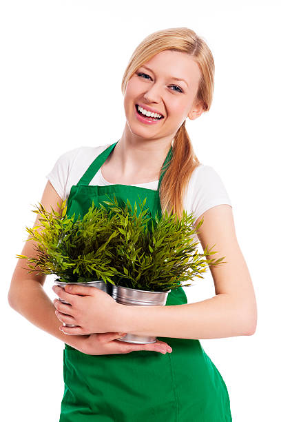 young pretty blonde gardener with green apron and blue rubber boots and shirt with floral motifs examines buxus trees, boxtrees, boxwood in garden in austria