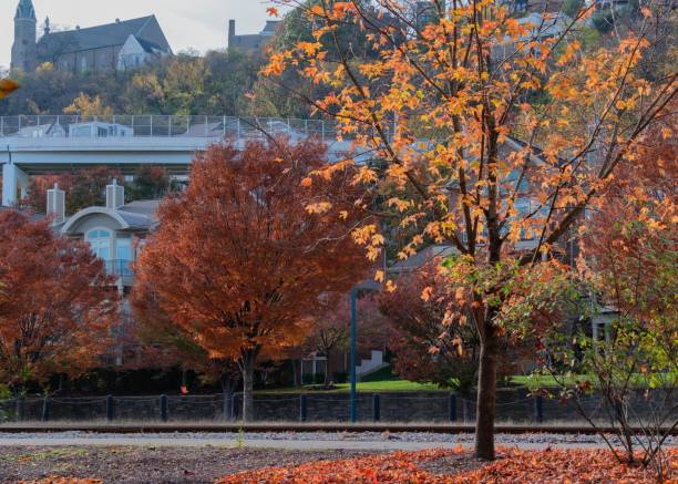 istock View of Mt Adams from below, Autumn Scene 1777233668