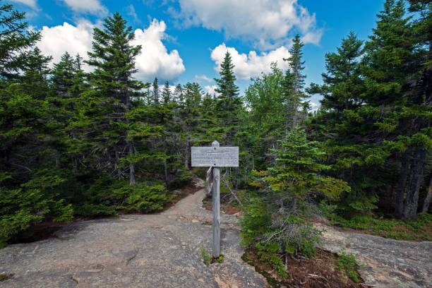 istock Mount Chocorua - Middle Sister Trail Sign Post 1777236906