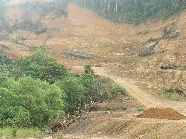istock Work od pruning or demolish hill. Land reclamation. 1777238016