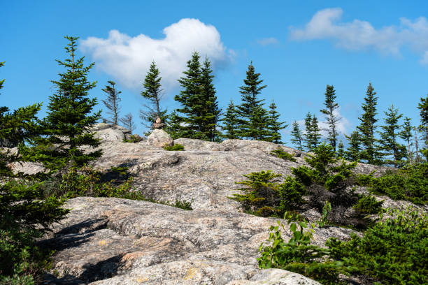istock Mount Chocorua - Middle Sister Trail On Third Sister Peak 1777238498