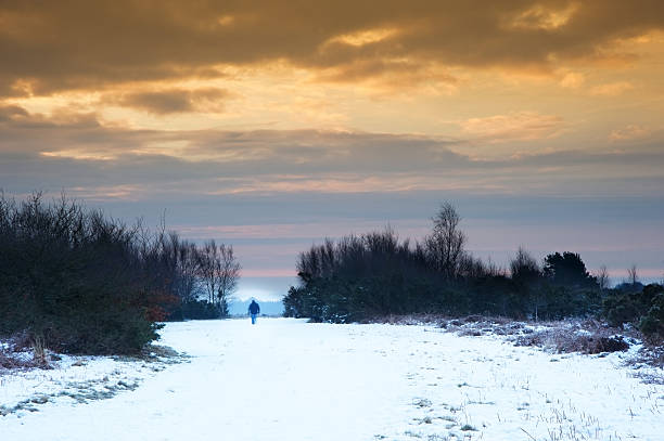 istock Vibrant Winter sunrise landscape over snow covered countryside 177724078