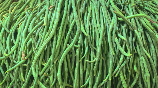 istock fresh long beans on the market 1777245851