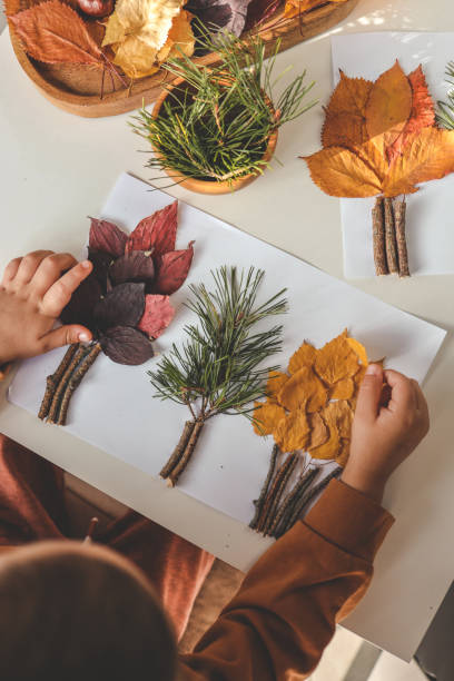 istock Children's creativity, child's study of natural materials, application top view 1777254592