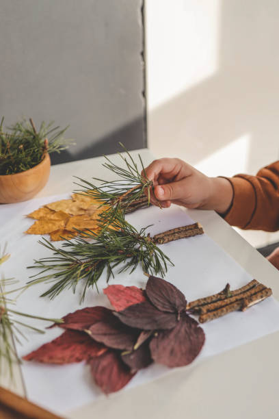 istock Children's creativity, child's study of natural materials 1777254593