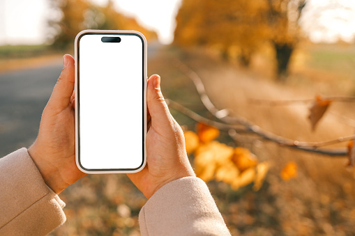 Phone in hands with an isolated screen on the background of an autumn road.