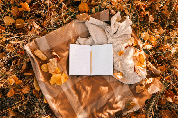 istock Paper planner on blanket outdoors, autumn concept 1777255161