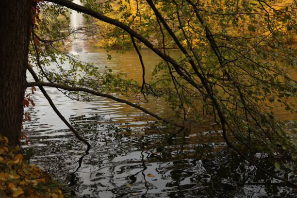 Autumn landscape, beautiful yellow trees on the lake.