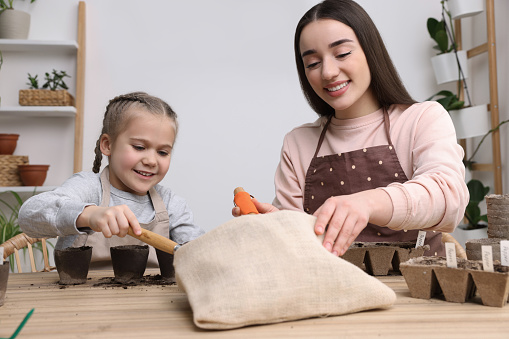 Mother and her daughter filling pots with soil at wooden table indoors. Growing vegetable seeds